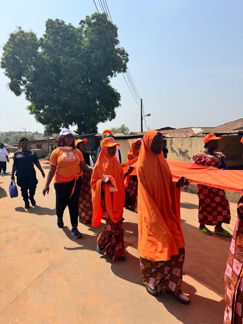 Activism against Sexual and Gender-Based Violence (SGBV)